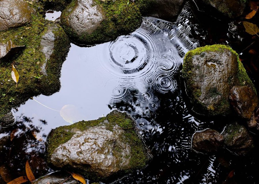 A narrow channel of water running over stone.