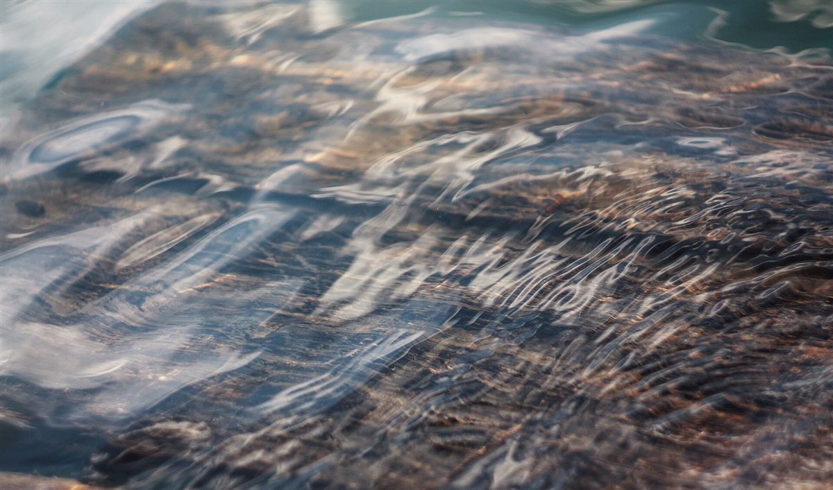 A continuous sheet of moving water seen close to.